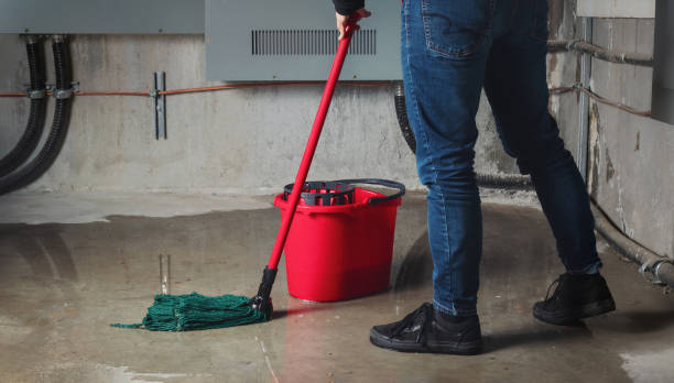 Best Basement water damage restoration  in Kahaluu Keauhou, HI
