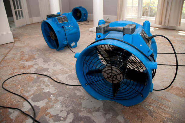 Best Carpet water damage restoration  in Kahaluu Keauhou, HI
