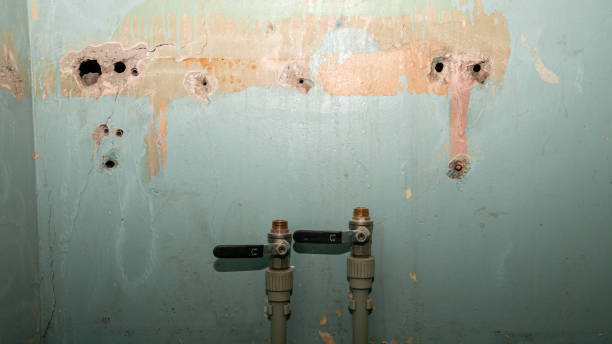 Professional Water damage restoration in HI