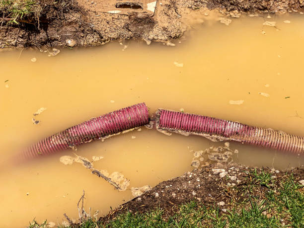 Best Professional water damage repair  in Kahaluu Keauhou, HI